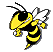 Go Jackets!